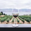 Notre SÉLECTION DE VINS