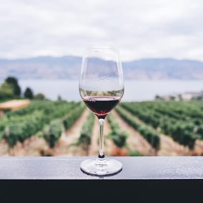 Notre SÉLECTION DE VINS